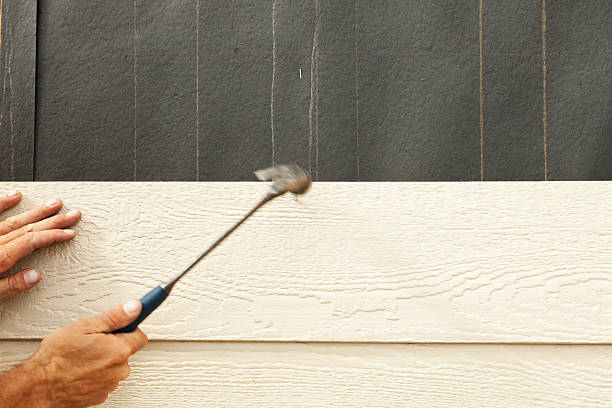 Best Siding Removal and Disposal  in Newport, KY